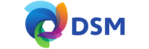 DSM - Partner